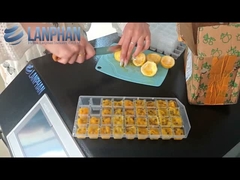 Home Asciugatrice a vuoto congelatrice di frutta