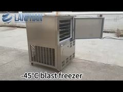-45°C 130L Commercial Food Blast Chiller Machine Vendita Pesce/Pollo Instant Fast/Quick/Blast Freezer