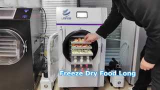 Home Freeze Dryer Conservazione degli alimenti