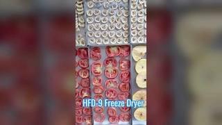 Liofilizzatore commerciale con capacità di 12 kg per la conservazione degli alimenti