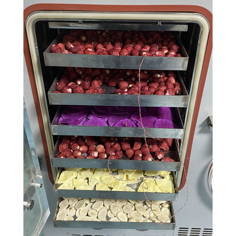 Liofilizzatore da Laboratorio con Area di Liofilizzazione di 0,4 m², Sistema Raffreddato ad Aria e Capacità di Cattura dell'Acqua di 6 kg/24h