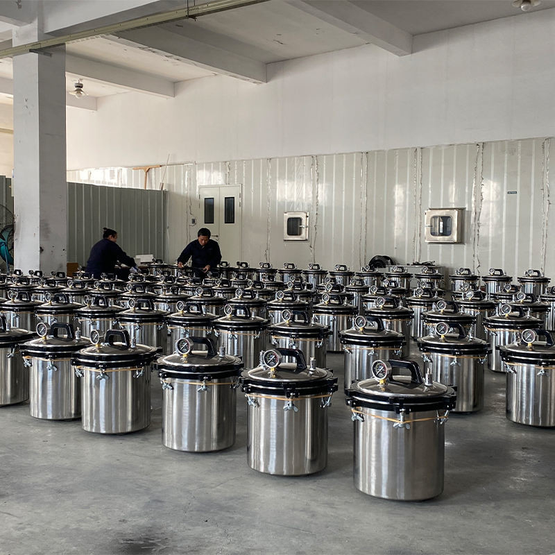 Autoclave a vapore portatile di riscaldamento elettrica del laboratorio del Mpa dell'autoclave 0,16 dello sterilizzatore