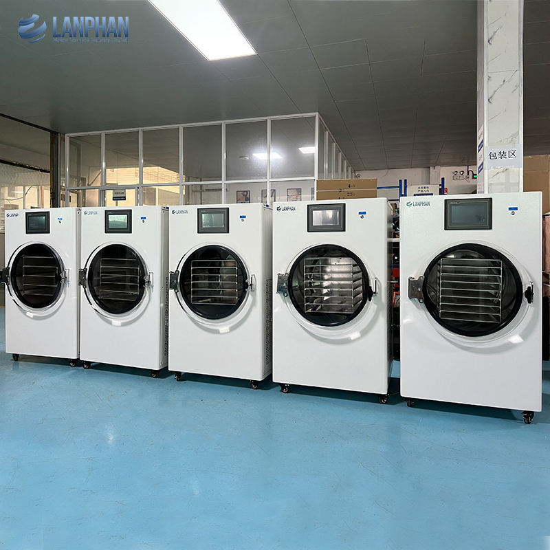10kg 15kg Freeze Dryer Food Drying Lyophilizer Machine per la casa senza olio