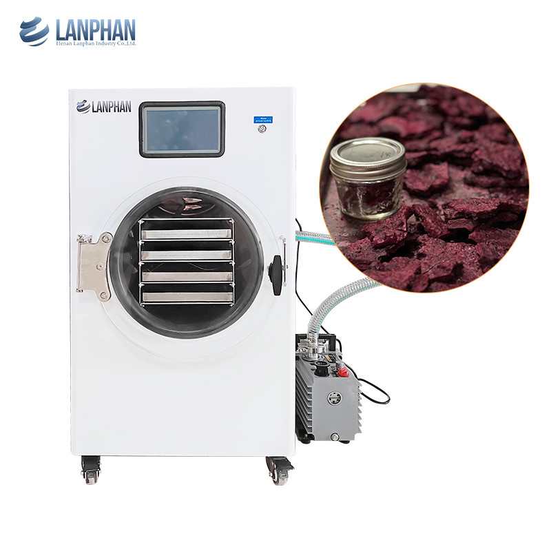 Lanphan Home Strawberry White aspirapumidificatrice con pompa a vuoto o senza pompa ad olio