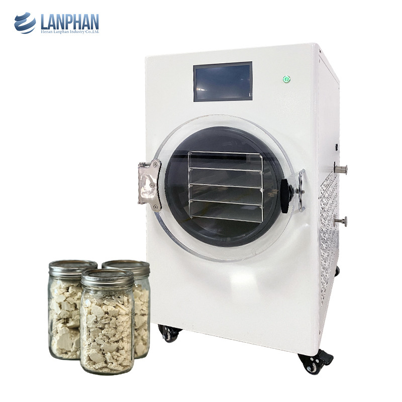 Lanphan Home Strawberry White aspirapumidificatrice con pompa a vuoto o senza pompa ad olio