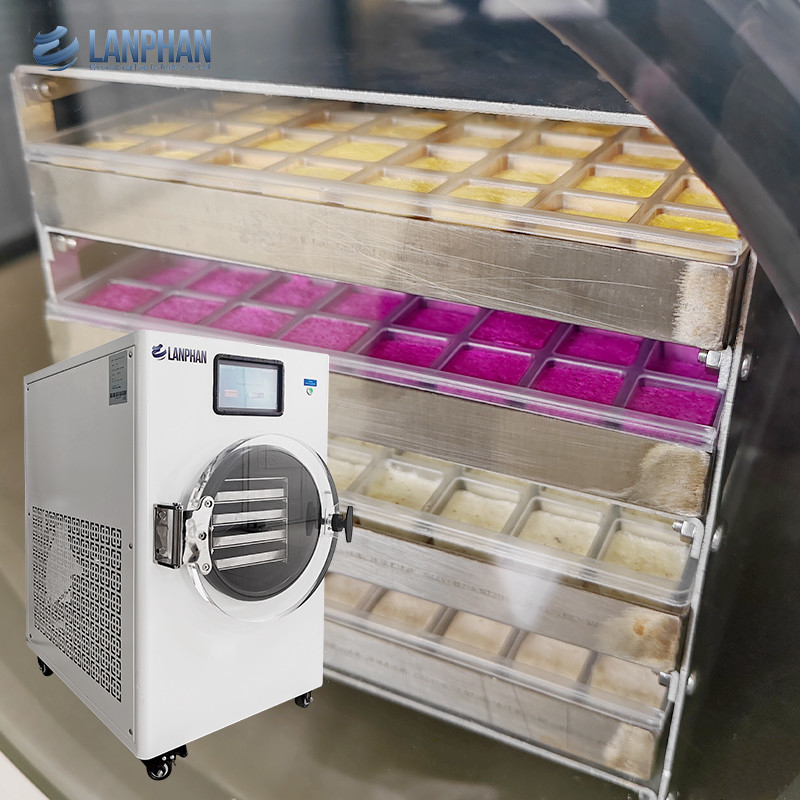 Macchine congelatrici a vuoto asciugatrici a congelamento a domicilio attrezzature per l'asciugatura degli alimenti con filtro a nebbia di olio