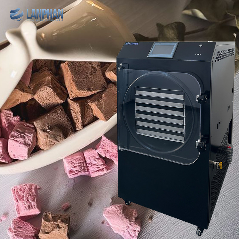 20 kg-25 kg/ lotto Freeze dryer Equipaggiamento di asciugatura a vuoto per gelato sandwich yogurt