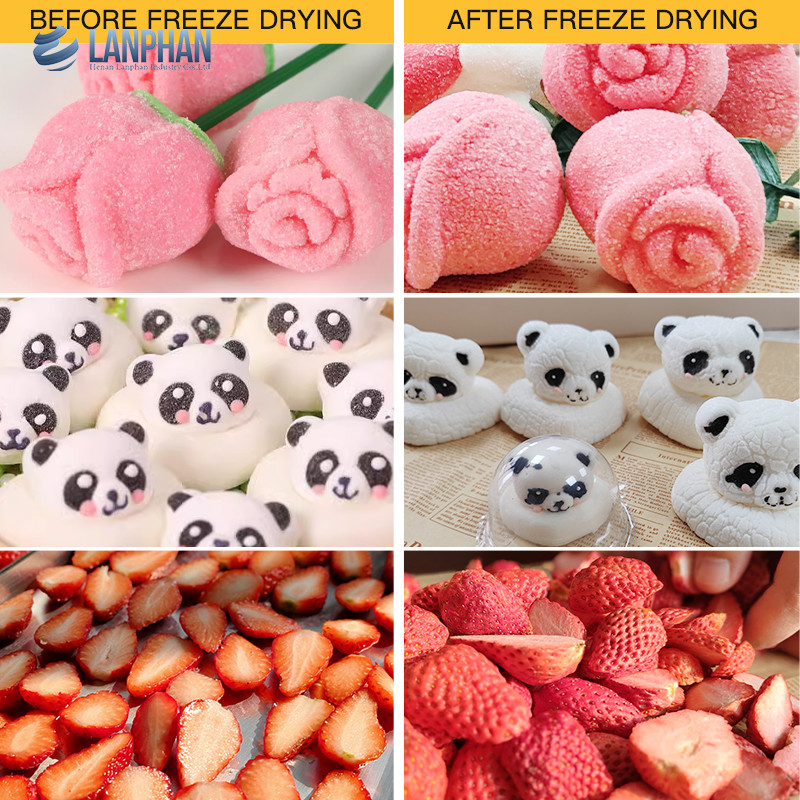 20 kg-25 kg/ lotto Freeze dryer Equipaggiamento di asciugatura a vuoto per gelato sandwich yogurt