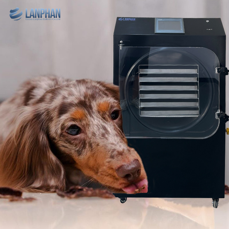 25 kg/h Macchina per asciugatura a vuoto nera per animali domestici, asciugatrice a congelamento per alimenti domestici per laboratori