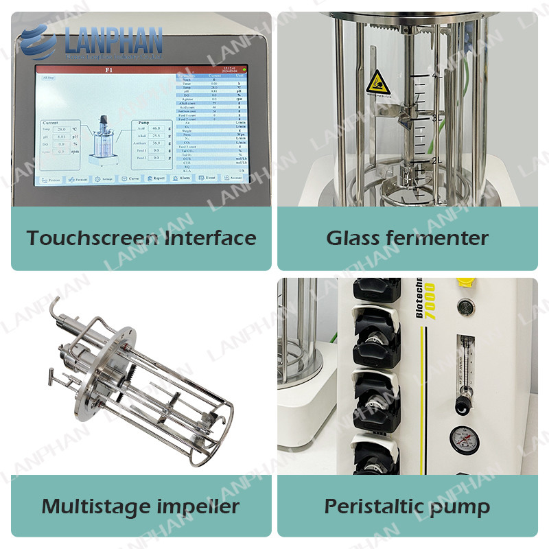 5l Bioreattore di coltura cellulare animale Bioreattore di vetro autoclavabile Fermentatore microbico
