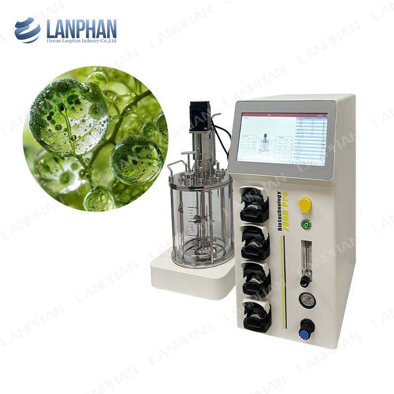 Lievito spirulina Bioreattore di vetro di laboratorio Bioreattore di fermentazione Bioreattore di coltura cellulare animale Bioreattore 10L/5L