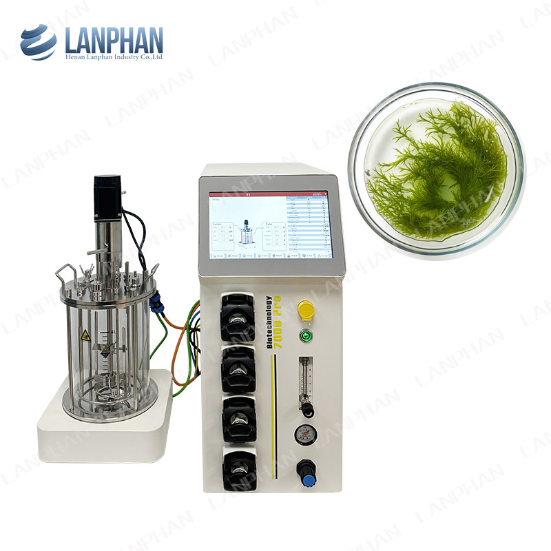 Bioreattore di fermentazione microbica / batterica 1l Bioreattore di fermentazione di laboratorio per alghe