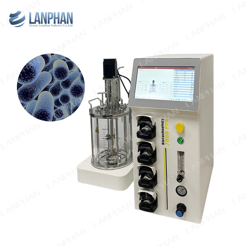 Laboratorio Vaccino di vetro Fermentazione Bioreattore alimentato batch Benchtop Bioreattore serbatoio agitato