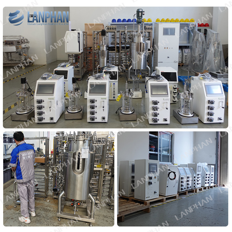 2l 5l 10l Bioreattore per la coltura cellulare