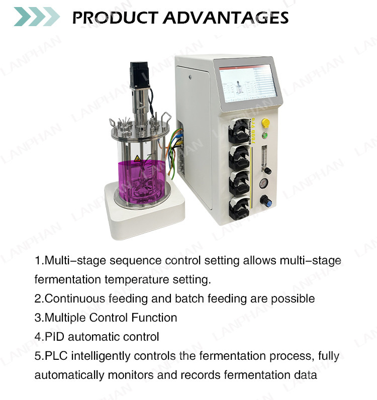 Bioreattore di fermentazione microbica / batterica 1l Bioreattore di fermentazione di laboratorio per alghe
