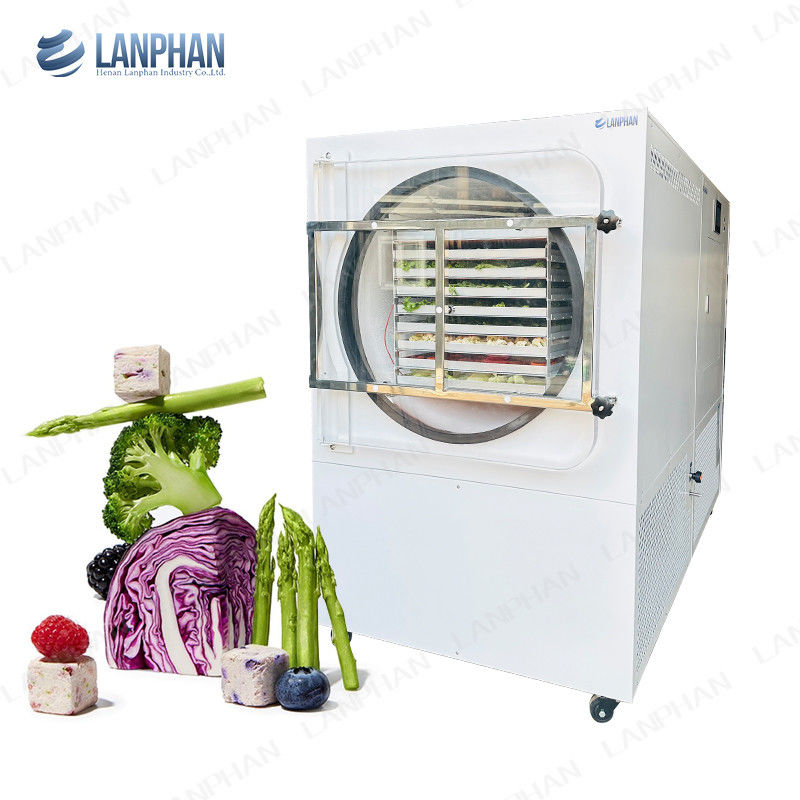 Lanphan Automatic Large Freeze Dryer 5m2 Freeze Dryer Machine per carne frutta ortaggi