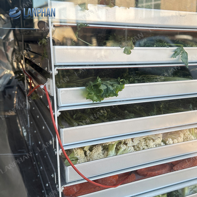 18 vassoi Farmaceutici Macchine per l'essiccazione dei prodotti alimentari con congelamento a vuoto Macchine per l'essiccazione dei prodotti vegetali con congelamento a vuoto