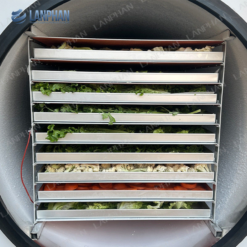 Lanphan Automatic Large Freeze Dryer 5m2 Freeze Dryer Machine per carne frutta ortaggi