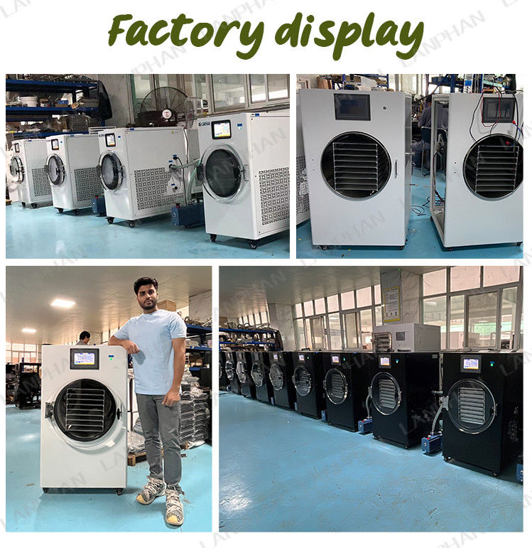 6 kg 10 kg 20 kg Liofilizatore di frutta Equipaggiamento di liofilizzazione a vuoto per uso domestico Liofilizzatore alimentare