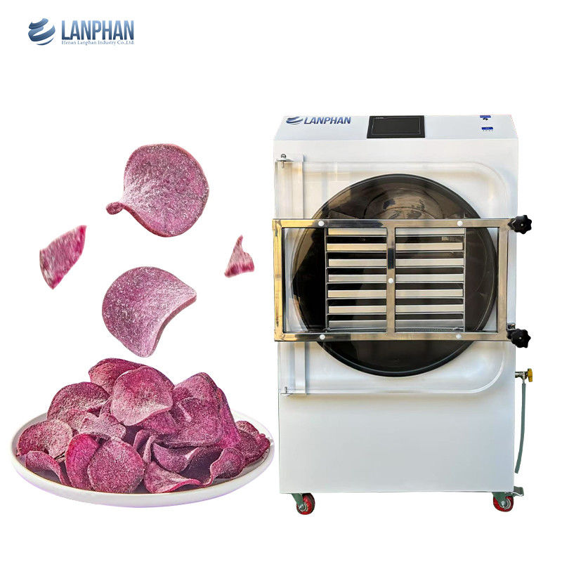 55 kg-60 kg / lotto 14 vassoi Macchina di liofilizzazione commerciale 4m2 Liquidificatore per alimenti