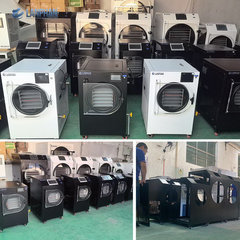 4m2 14 Grandi Vassoi Sottovuoto Essiccatore di Frutta per Alimenti Prezzo Macchina Commerciale per l'Essiccazione Sottovuoto di Alimenti per Congelamento