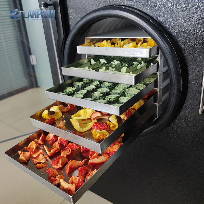 Piccolo asciugatrice Lanphan Nuovo aggiornamento 0,5m2 Macchina di asciugatura nera con pompa a vuoto