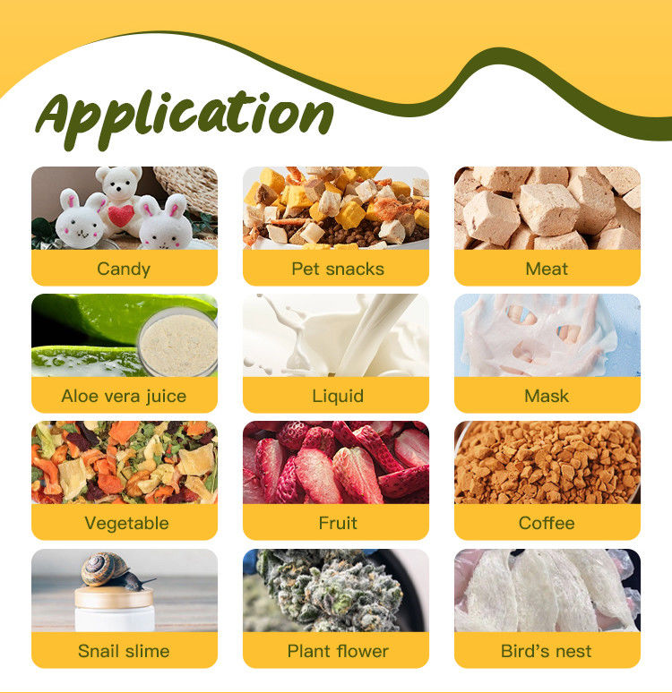 6 kg 10 kg 20 kg Liofilizatore di frutta Equipaggiamento di liofilizzazione a vuoto per uso domestico Liofilizzatore alimentare