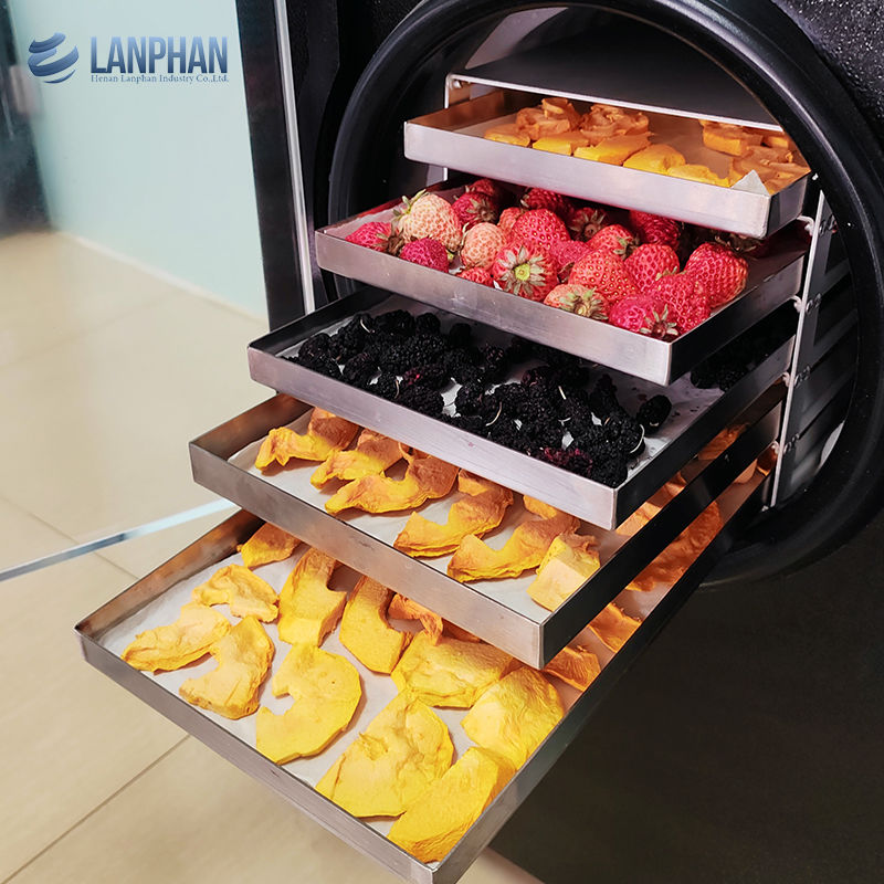 Liofilizzatore Sottovuoto Essiccatore a Freddo Macchina per Carne Cibo per Animali Domestici Essiccazione Frutta