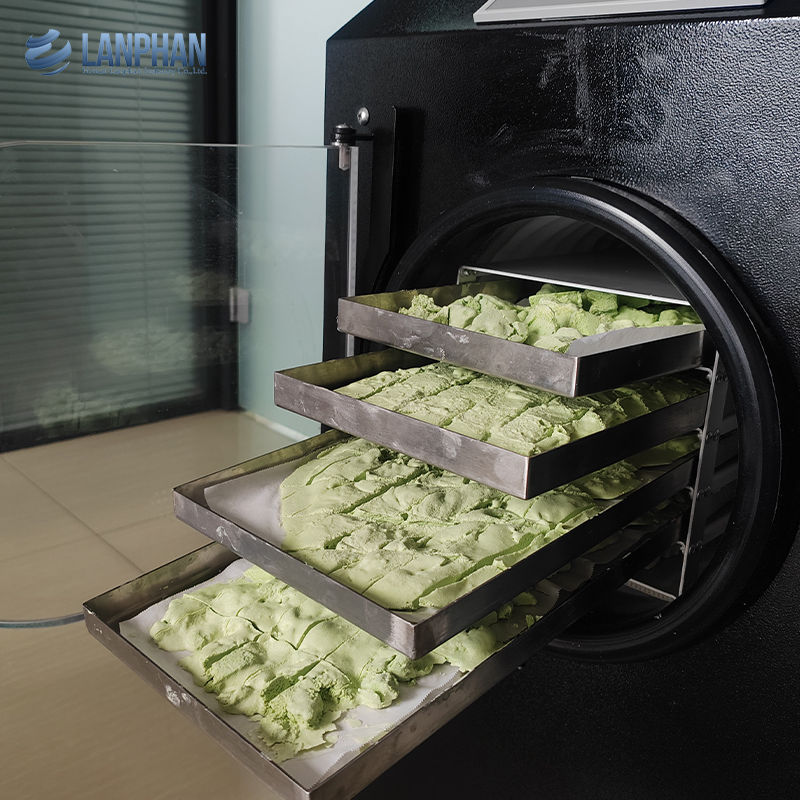 Liofilizzatore Sottovuoto Essiccatore a Freddo Macchina per Carne Cibo per Animali Domestici Essiccazione Frutta