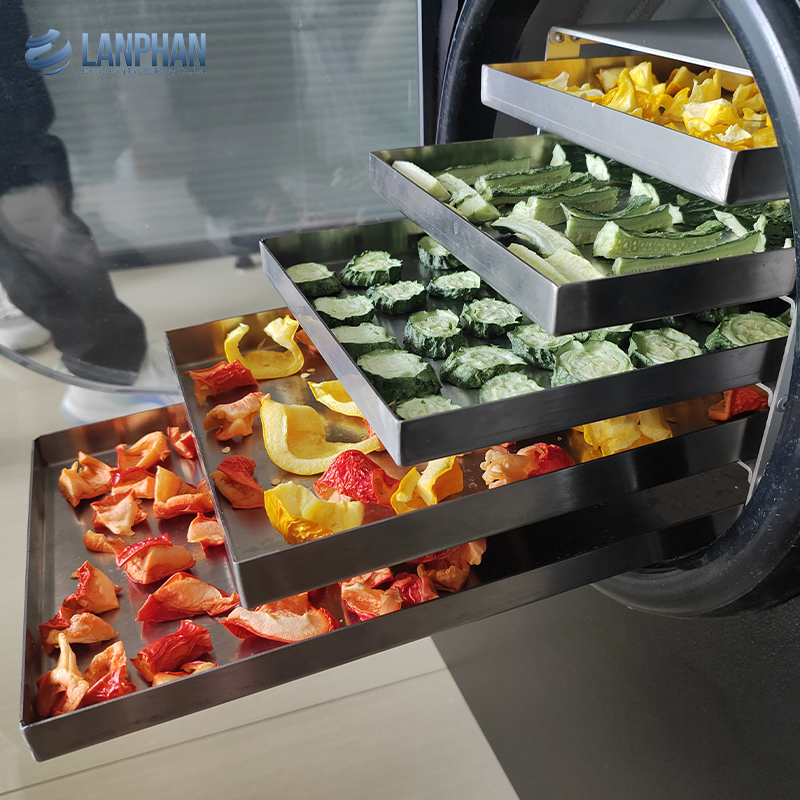 Fabbrica Produttore 4-6Kg Piccolo Liofilizzatore Alimentare aspiratore Freeze Dryer Macchina Freeze Dryer Casa
