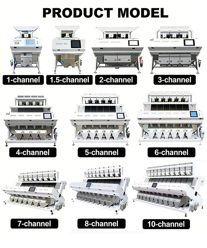Selezionatrice a colori a singolo scivolo per la selezione di larve della farina, selezionatrice ottica per riso, selezionatrice per riso