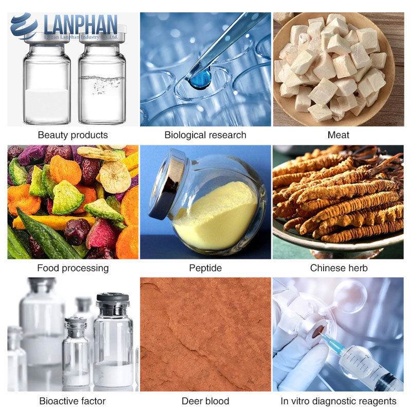 8 kg/ lotto Liofilizzazione Laboratorio industriale Liofilizzatore Farmaci, Prodotti microbici