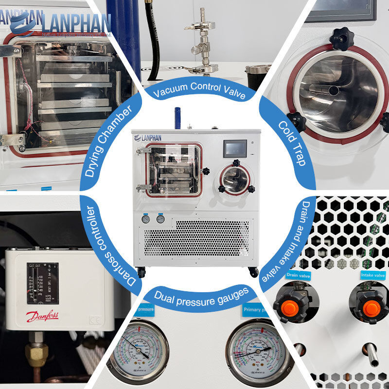 8 kg/ lotto Liofilizzazione Laboratorio industriale Liofilizzatore Farmaci, Prodotti microbici