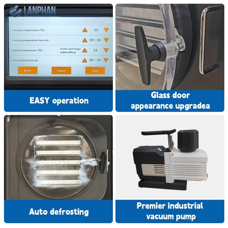 Macchina per liofilizzazione sottovuoto automatica piccola per alimenti, frutta e carne da 4-6 kg per uso domestico