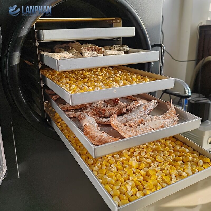 5-Tray Small Size Freeze Dryer in acciaio inossidabile con pompa d'olio per cibi dolci