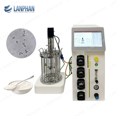 Bioreattore di fermentazione microbica / batterica 1l Bioreattore di fermentazione di laboratorio per alghe