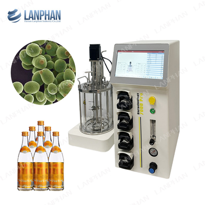 Laboratorio Vaccino di vetro Fermentazione Bioreattore alimentato batch Benchtop Bioreattore serbatoio agitato