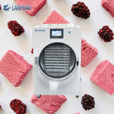 3M2 Lanphan Candy Cake Freeze Dryer Macchina per l'essiccazione dei frutti e verdure Lipolizzatore