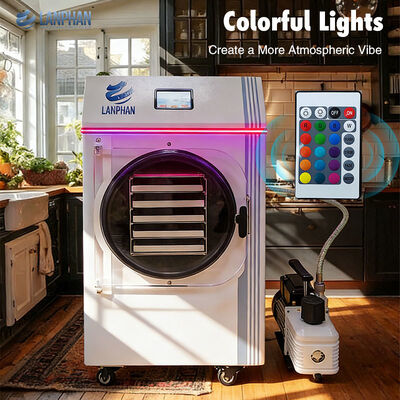 Uso domestico Conserva frutta verdura carne alimenti compatti congelatore asciugatore