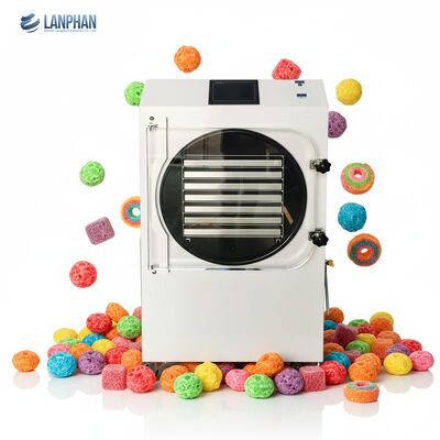 HFD-35 -70°C Essiccatore Industriale a Liofilizzazione a Temperatura Ultra-Bassa da 5500W per Alimenti, Frutta e Verdura